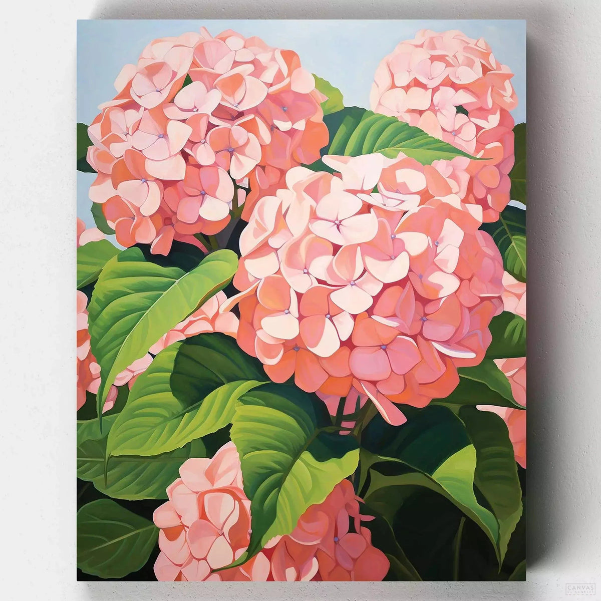 Hortensias - Pintar por Números- Pintar por Números- Canvas by Numbers