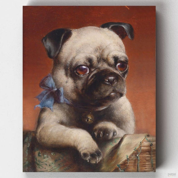 Cachorro de Pug - Pintar por Números- Pintar por Números- Canvas by Numbers