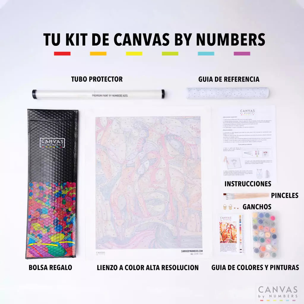 Gato Funky- Pintar por Números- Canvas by Numbers
