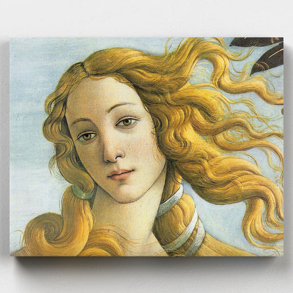 Venus, Detalle- Pintar por Números- Canvas by Numbers